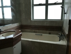 Sunshine Plaza (D7), Apartment #174676212